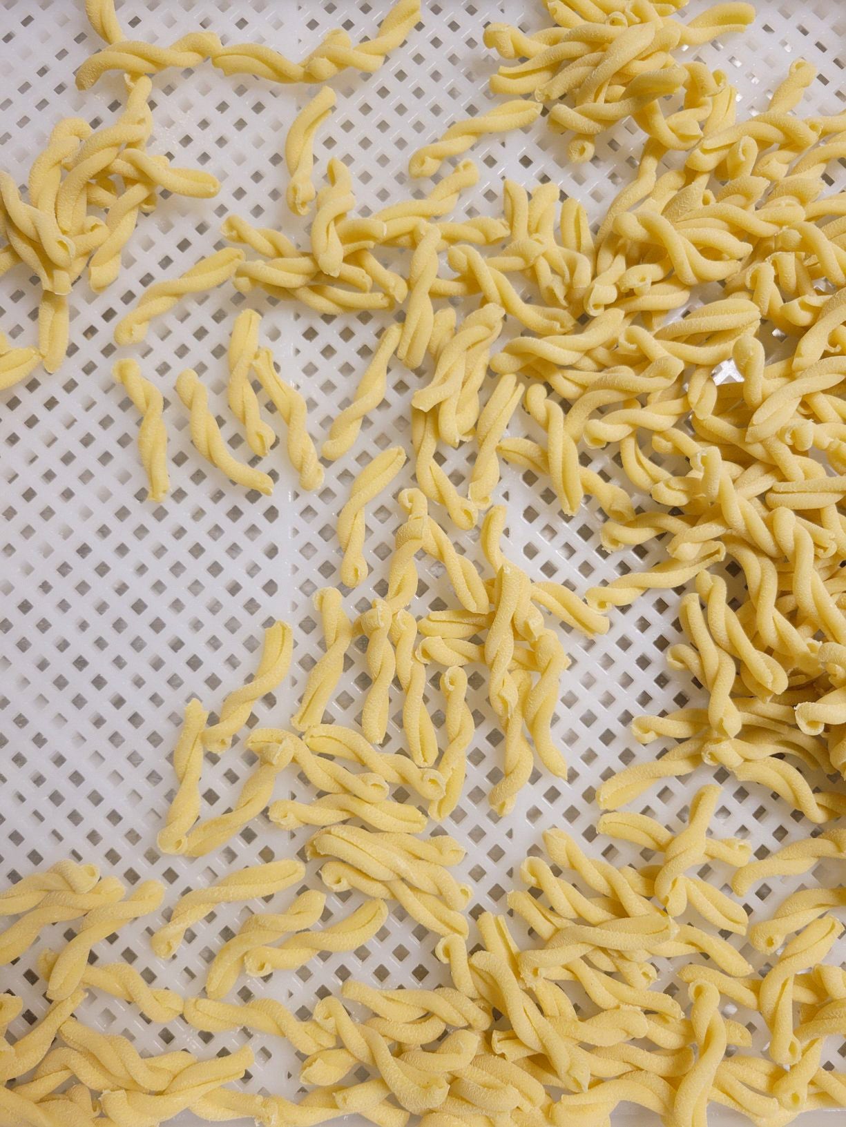 Gemelli Pasta - ORDERING AVAILABLE UNTIL 12/17