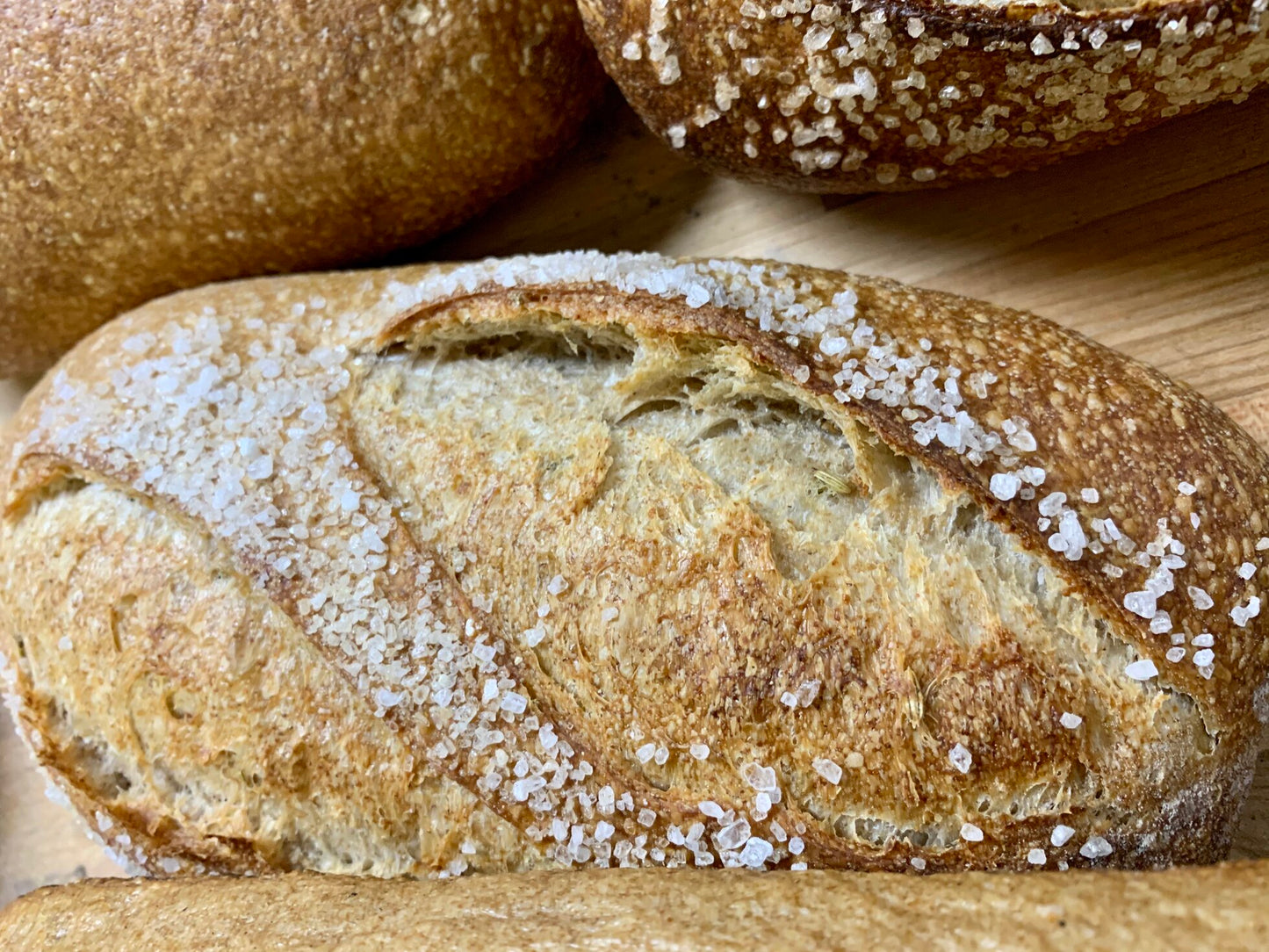 Deli Loaf (5lb);5lb Sea Salt and Fennel Sourdough
