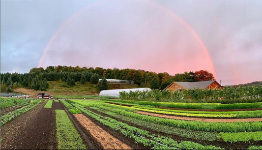 9 Bean Rows Farm to Table Series - August 15th