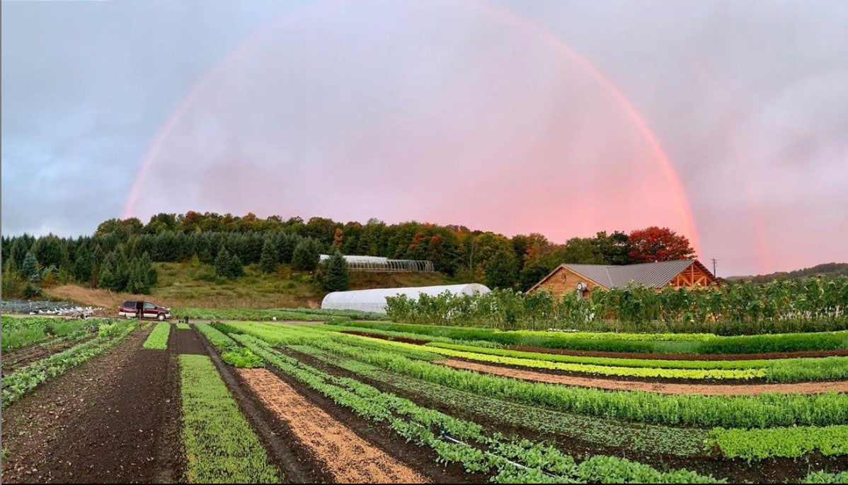 9 Bean Rows Farm to Table Series - July 18th