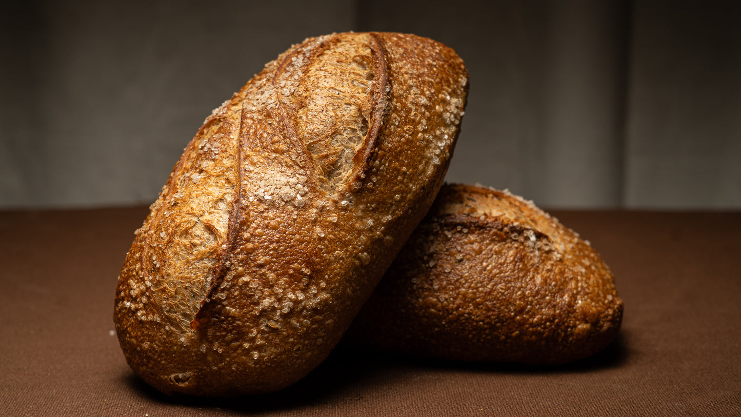 Sea Salt Fennel Sourdough
