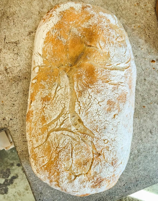 Ciabatta